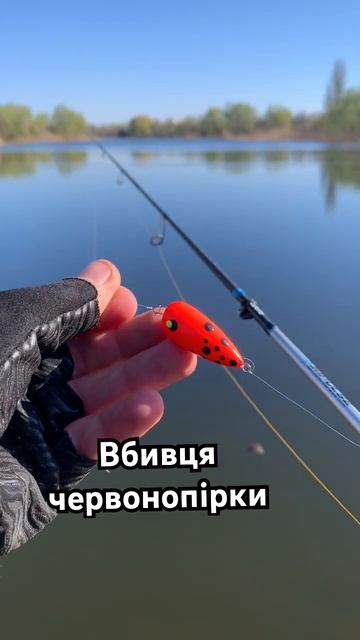 Поплапопер #рибалка #рибалка2023 #джиг #микроджиг #щука #окунь #природа #риболовля #твичинг #твич смотреть онлайн