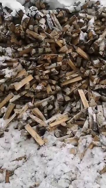 Видео WhatsApp 2023 12 11 в 23 41 07 42492661 смотреть онлайн