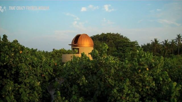 Parag Mahajani - The importance of the moon.mov смотреть онлайн