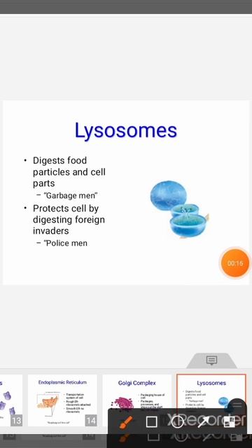 Cell Organelles - Golgi apparatus For Neet 2021 смотреть онлайн
