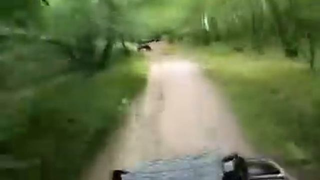 За насваем поехали) смотреть онлайн