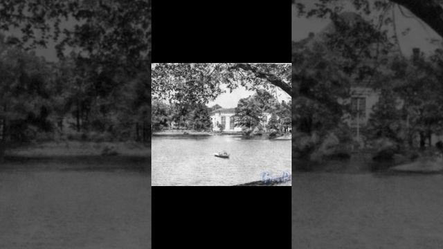 Мой Петербург от СПбГЭУ - 2021  Тугушева Элина (ГД 2104)