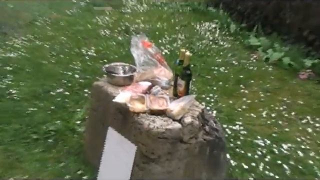 Спонтанный пикник 2014апрель