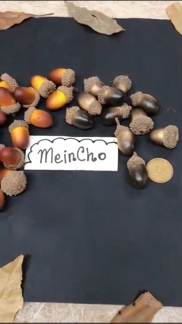 Buah OAK Natural Accorn Acorn Auntum Christmas Decor Dried Flower Properti Dekorasi Rustik смотреть онлайн