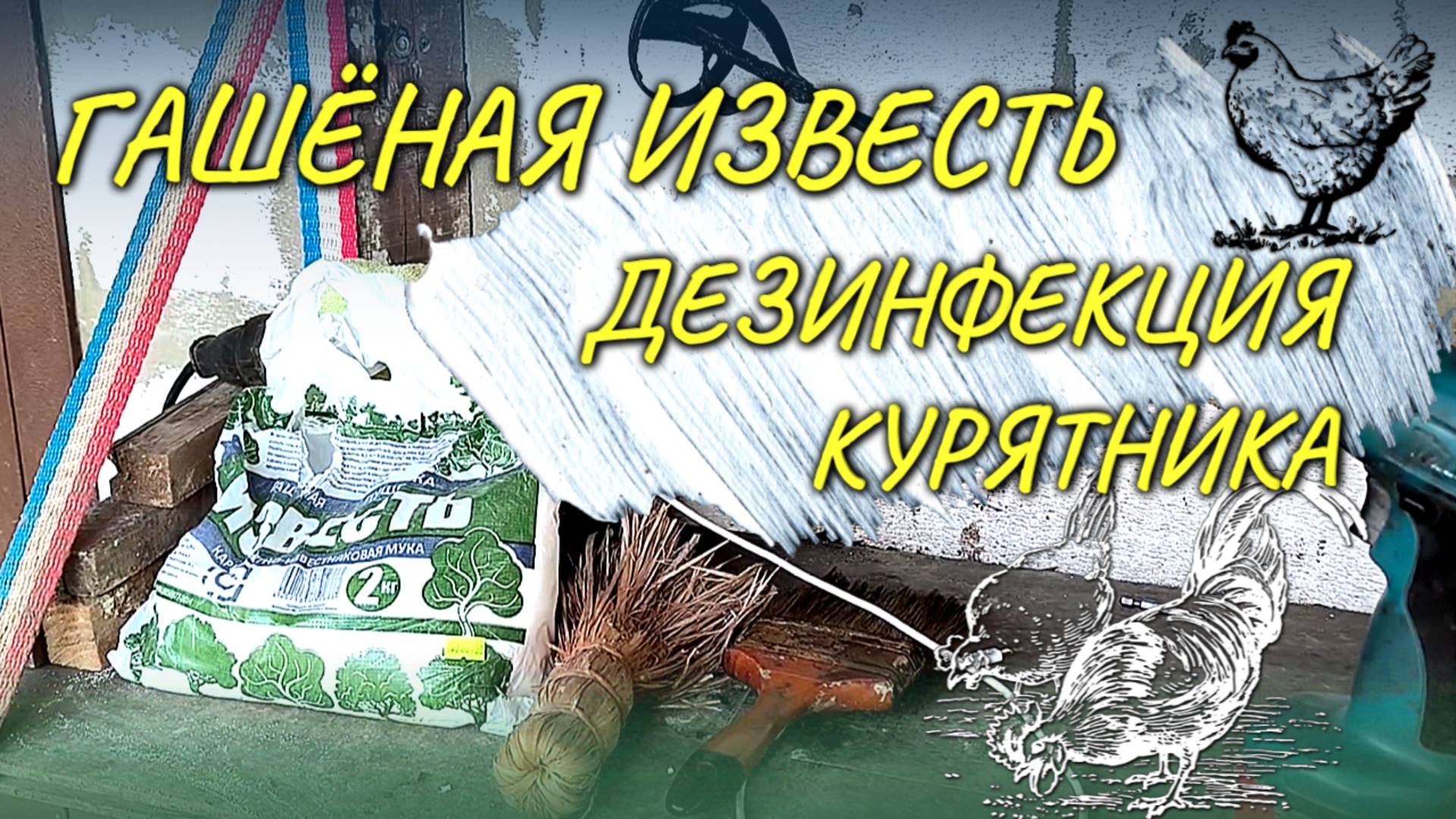 Дезинфекция курятника с помощью гашёной извести — это доступный, простой и эффективный способ