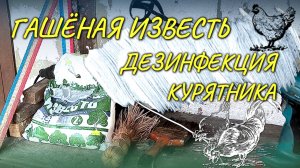 Дезинфекция курятника с помощью гашёной извести — это доступный, простой и эффективный способ