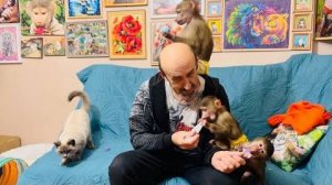 Люська, Степка и Маняшка ВЫСТРОИЛИСЬ в очередь, кто за едой, а кто за игрушками)