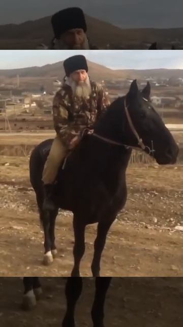 Брат Ингуш о Карачаевской породе лошадей 💪🏻💪🏻💪🏻 смотреть онлайн