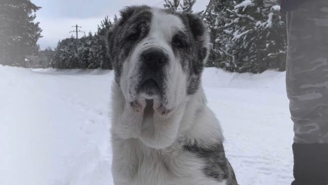 Одри 4 месяца смотреть онлайн