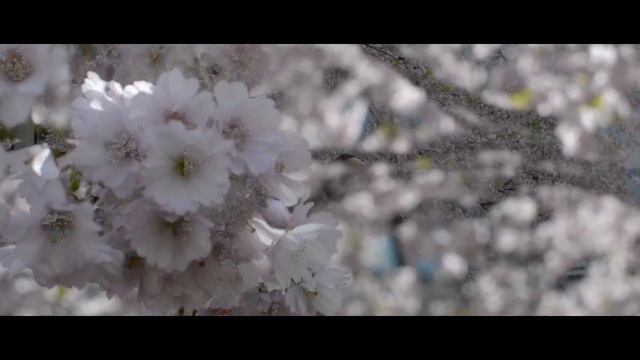 You´re Beautiful | The Electric ft Yarah Bravo | Twistin смотреть онлайн