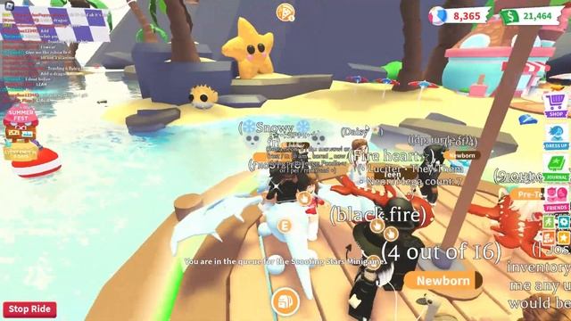 🌊*HURRY!* 🌞 WEEK 4 OF SUMMERFEST IS OUT! 🏖️ ARCTIC TERN AND HAPPY CLAM! 😎 NEW X2 BEACH BALLS 🐾