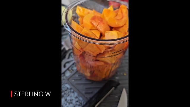 How to Make: Persimmon Sorbet / Ice Cream Using Ninja Creami смотреть онлайн