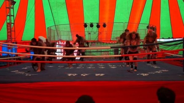 Реслинг.. Женские Бои...