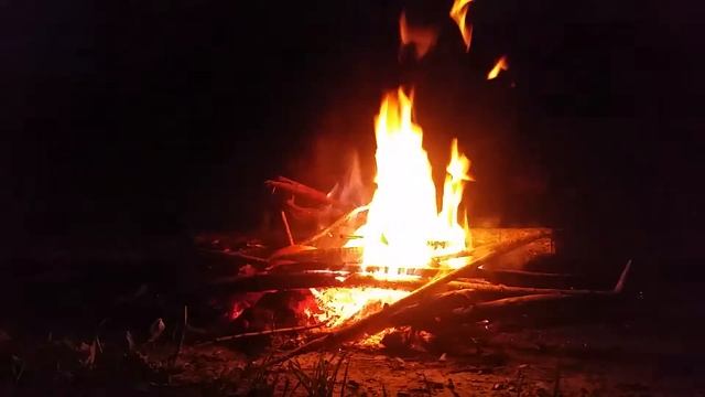 Костёр timelapse смотреть онлайн