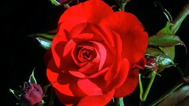 Хорошая русская новинка и видео онлайн смотреть онлайн