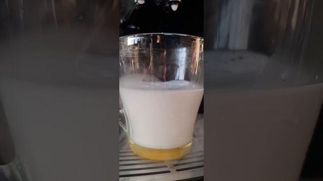 Melita Barista latte machiato смотреть онлайн