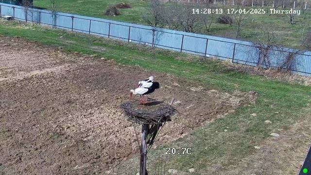 Ну и молодежь пошла.