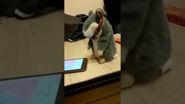 Хомяк співає The Bots - Was Wollen Wir Trinken