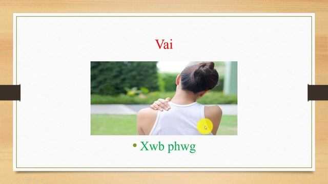 Học tiếng việt về cơ thể kawm txog neeg lub cev смотреть онлайн