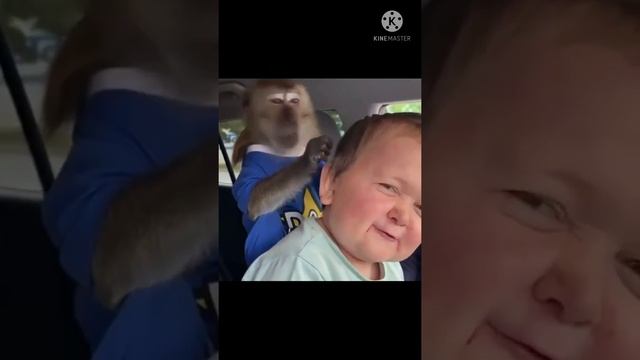 Хазбик против Абдурозик полный бой.