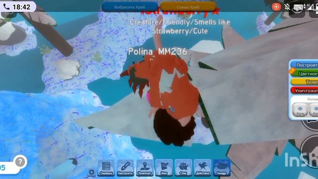 название игры: семья птиц