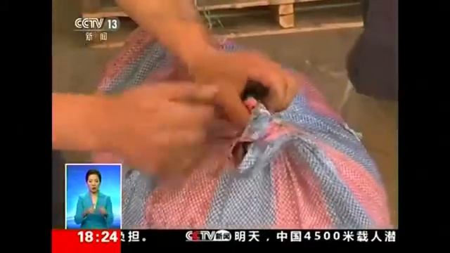 China Seizes A Record Haul Of Pangolin Scales