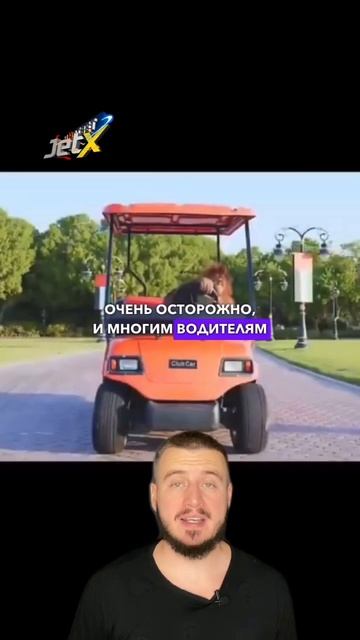 Орангутанг работает таксистом в Дубае! #орангутанг #рембо #такси #таксист #обезьяна #дубай #оаэ смотреть онлайн