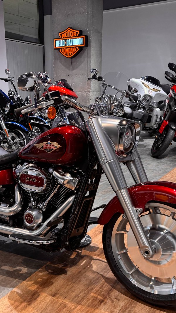 HD Fat Boy 120TH Anniversary