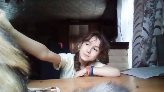 Реакция кошки Маргоши на спиннер смотреть онлайн