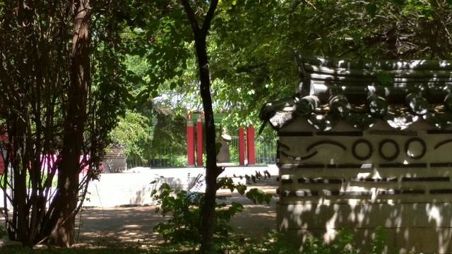 Сеульский парк в Ташкенте #парк #сеул #tashkent #корея Подписывайтесь и 👍