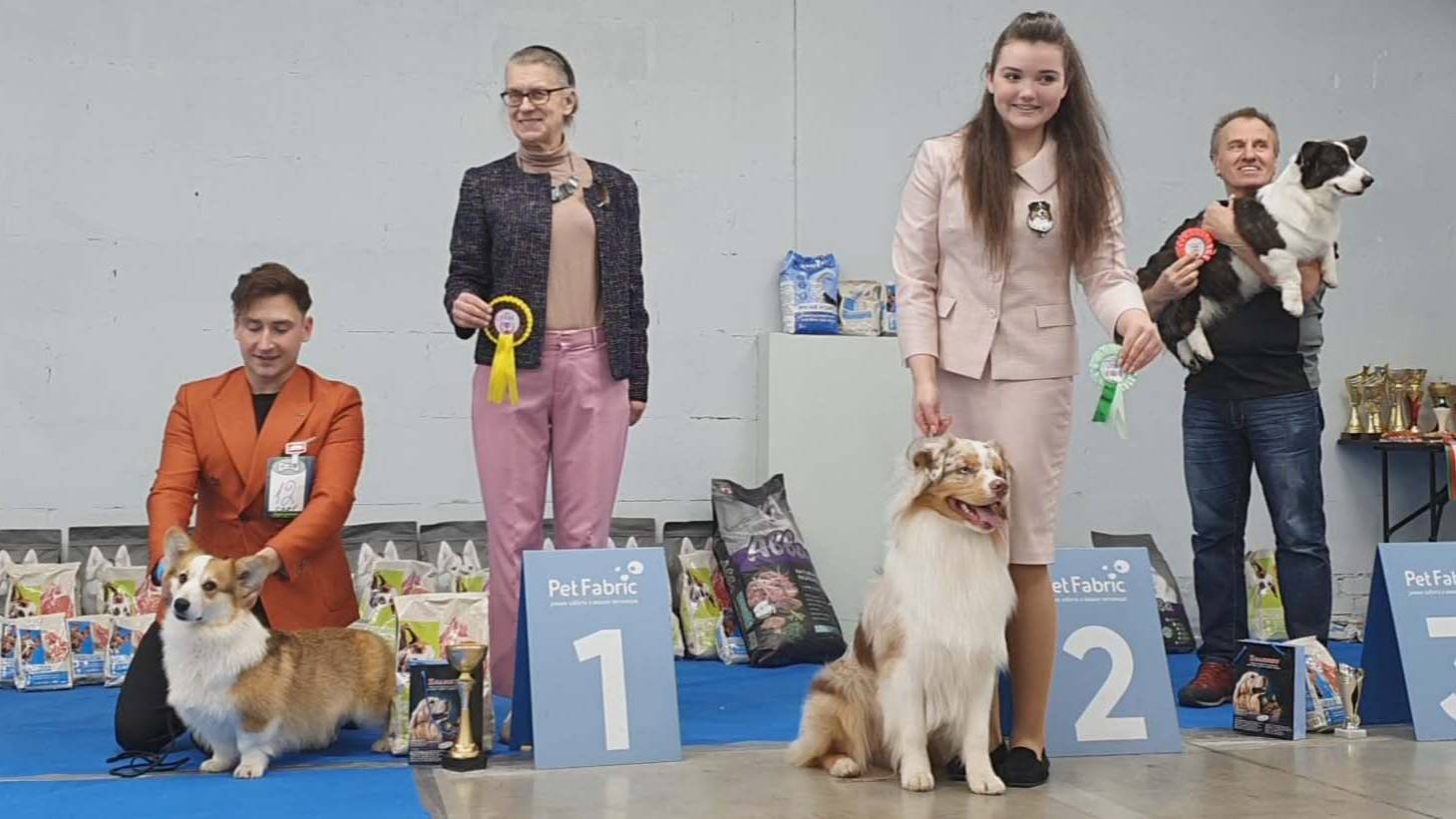 13.04.2025, СПб. Клуб "Глэд". Выставка собак САС 1 группы FCI смотреть онлайн