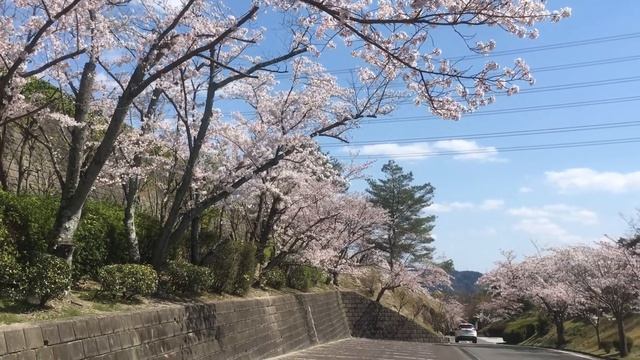 Jacob van Eyck, Prins Robberts Masco смотреть онлайн