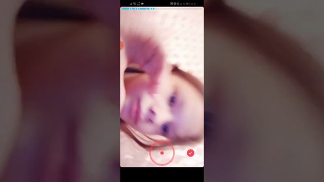 Тик ток семки видео смотреть онлайн