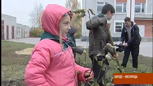 ЭКА Тамбовская область