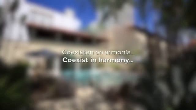 The Hacienda at Krystal Grand Puerto Vallarta смотреть онлайн