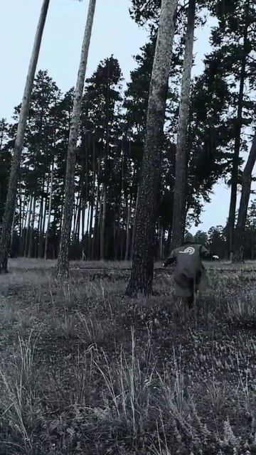 ВОРОН#shorts смотреть онлайн