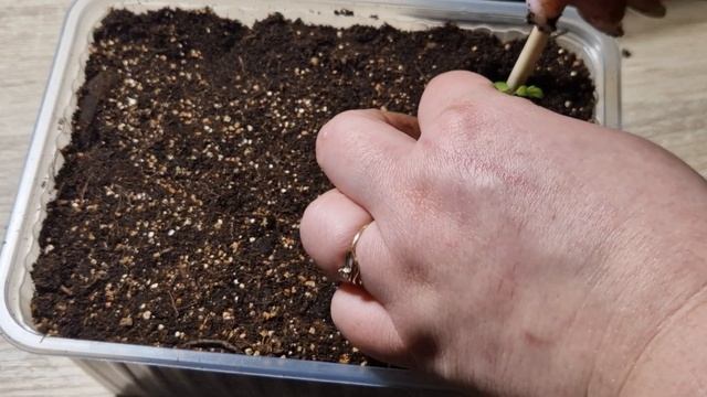 Encouraging Encounters