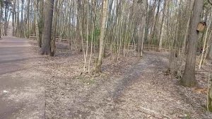 Много в парке кормушек для птиц и белок, скворечники на деревьях! В Бицевском лесу забота о животных