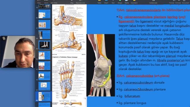 ARTROLOJİ 3 (TİBİOFİBULAR EKLEM - AYAK EKLEMLERİ - AYAK KUBBESİ OLUŞUMU) смотреть онлайн