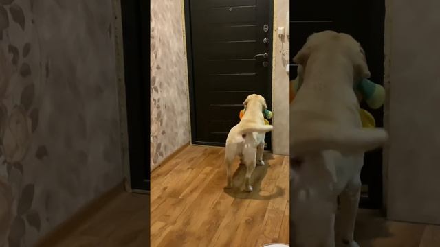 Снова пришла тётя Оля🤗Радости нет предела смотреть онлайн