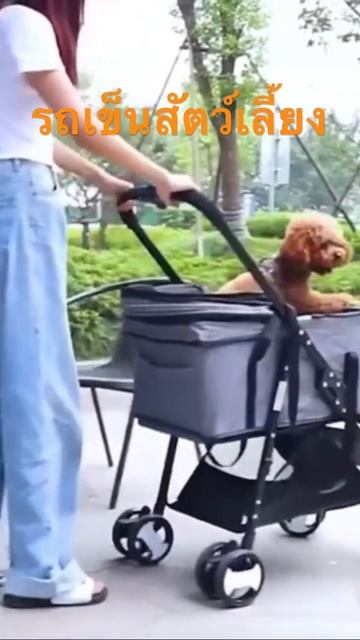 🐈🐕🐰✨#รถเข็นสัตว์เลี้ยง#petstroller กดสั่งใต้คลิบจ้า🥰