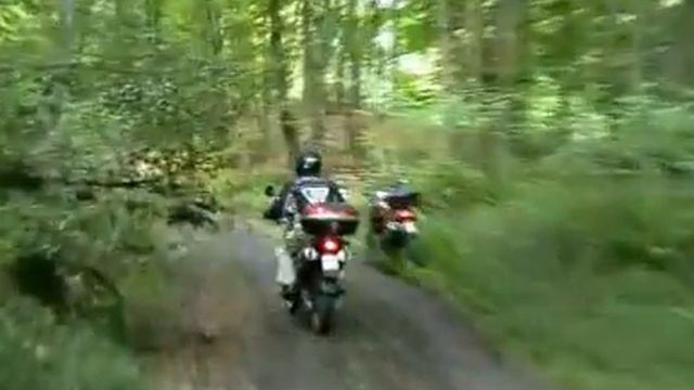 BMW F800 GS - PEDJA I ARSA смотреть онлайн