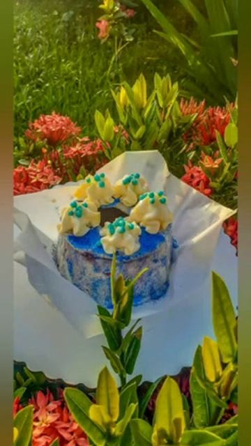 MINE BENTO CAKE RED VELVET COM CREAM CHEESE #SHORTS