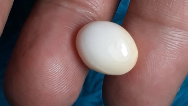 Natural pearl смотреть онлайн