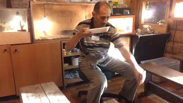 Сурикат в парке ЭТНОМИР смотреть онлайн