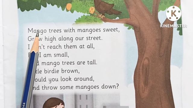 Mango 🥭 Trees | आम का पेड | SrKg Rhymes| Songs & Poems | Hindi & English | S&D Teacher