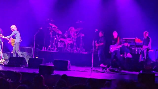 PRIVATE INVESTIGATIONS (EXCERPT) - DIRE STRAITS EXPERIENCE LIVE - ZURICH THEATER 11 - 29.5.2024 смотреть онлайн