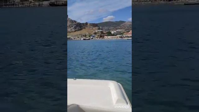 Дельфины приплыли близко к водному велосипеду смотреть онлайн