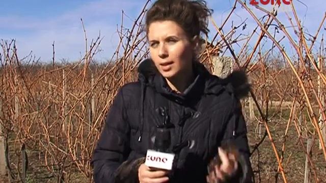 ZAREZOJA  U GORNJEM MATEJEVCU