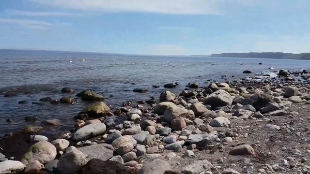 Рыбалка на треску. смотреть онлайн